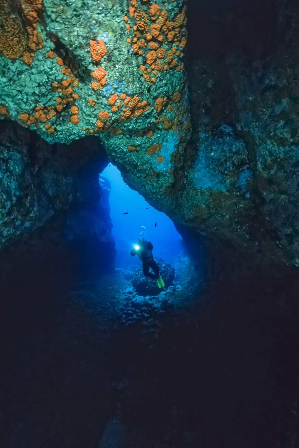 Italy, Ponza Island, UW photo, cave diving, scuba diver (FILM SCAN)